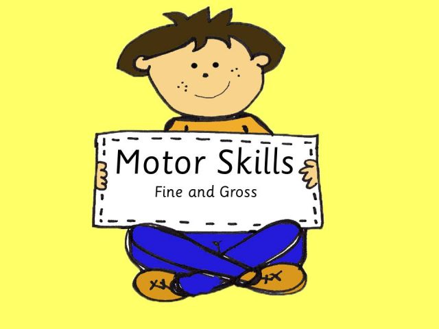 Motor Skills